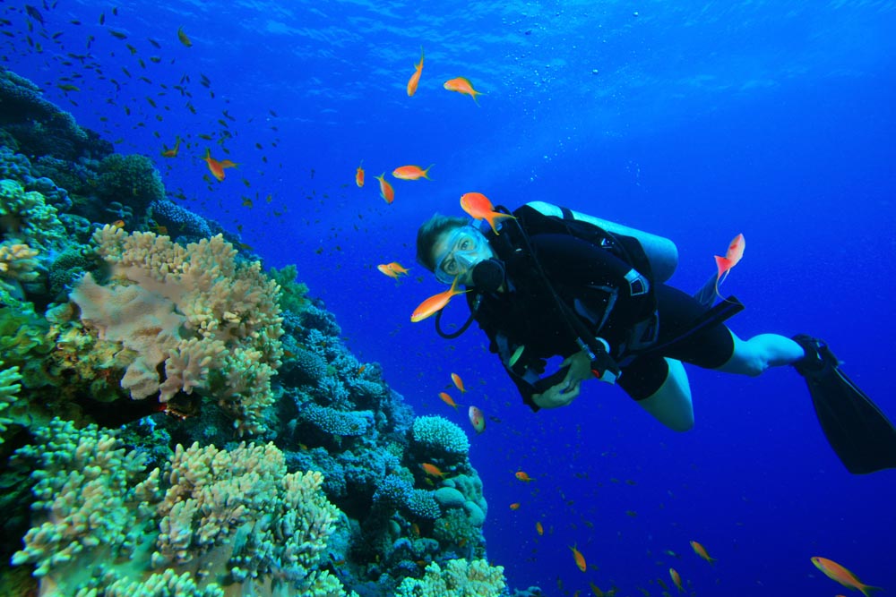 Good buoyancy while diving