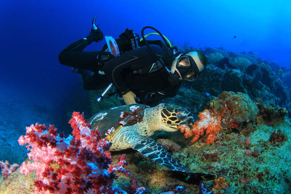 Good buoyancy keeps you close to the reef