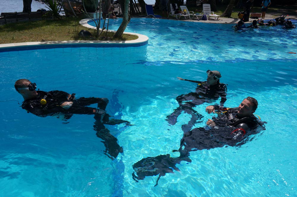 Divers in pool