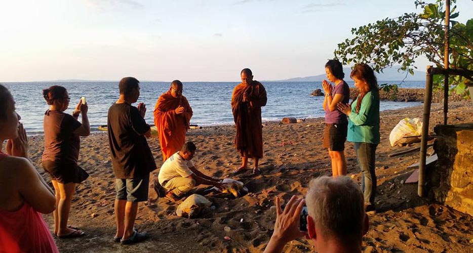 Turtle release by Buddhist monks at Murex Manado