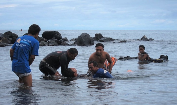 PADI Rescue diver Manado