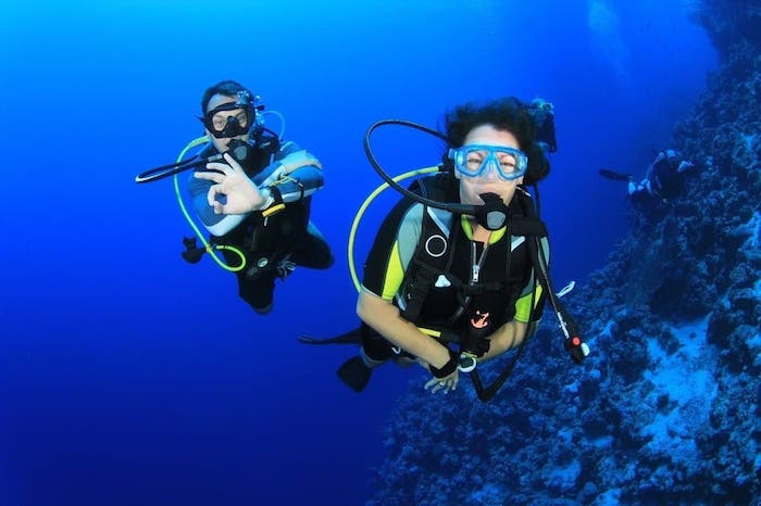 Murex Diving internship
