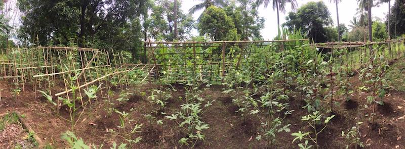 organic farm sulawesi